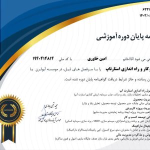 مهارت جامع فنی در زمینه استارت آپی