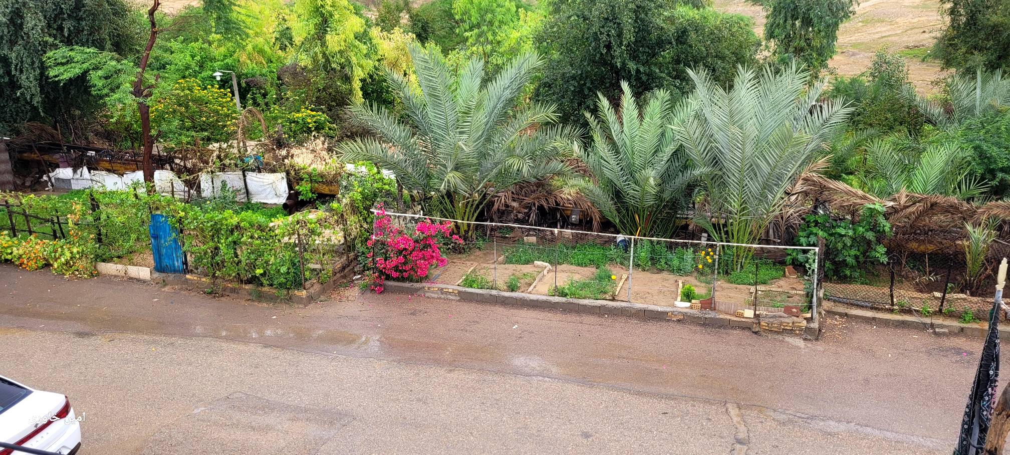 امین خاوری